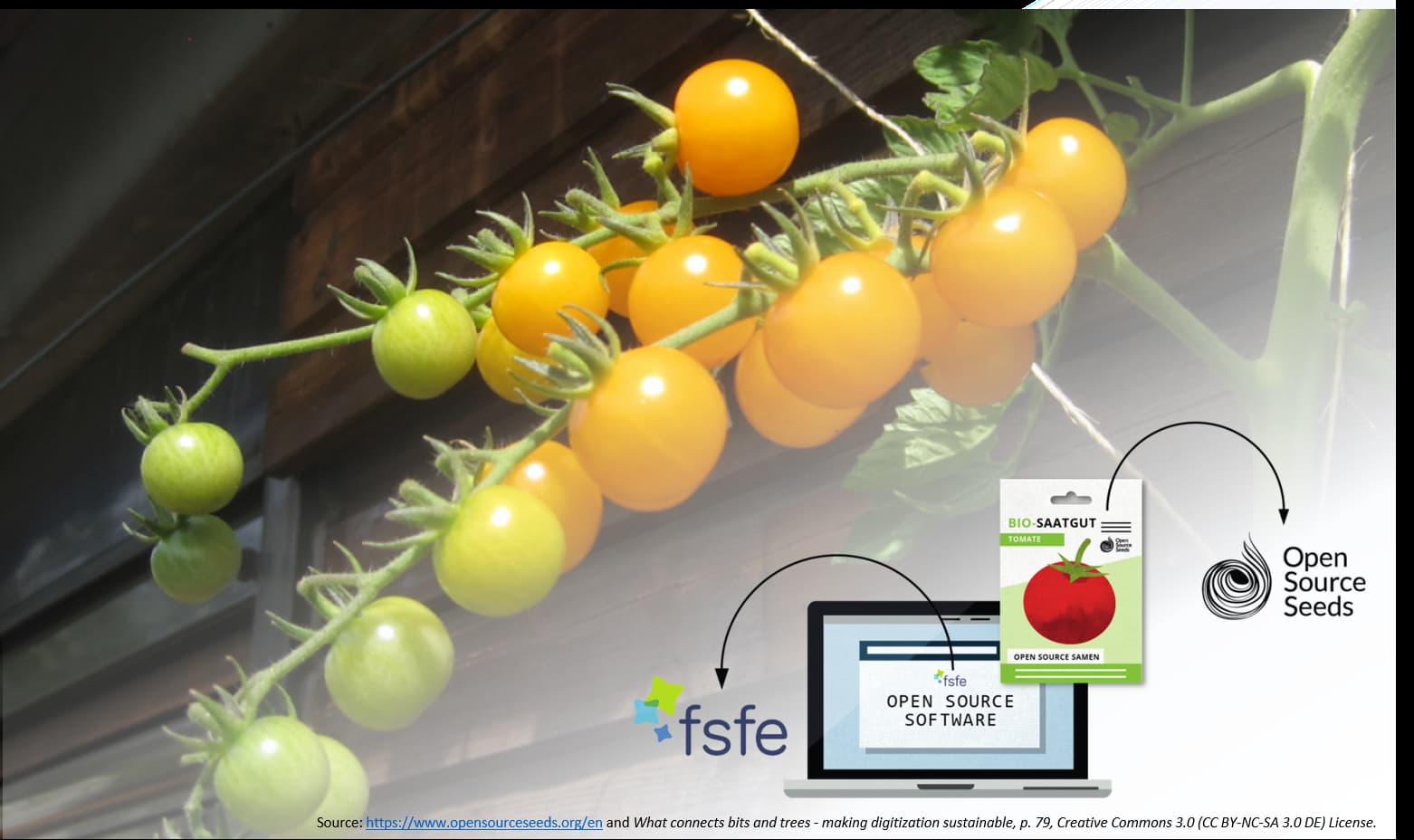 What do Open Source Seeds and Open Source Software have in common? What do Open Source Seeds and Open Source Software have in common?