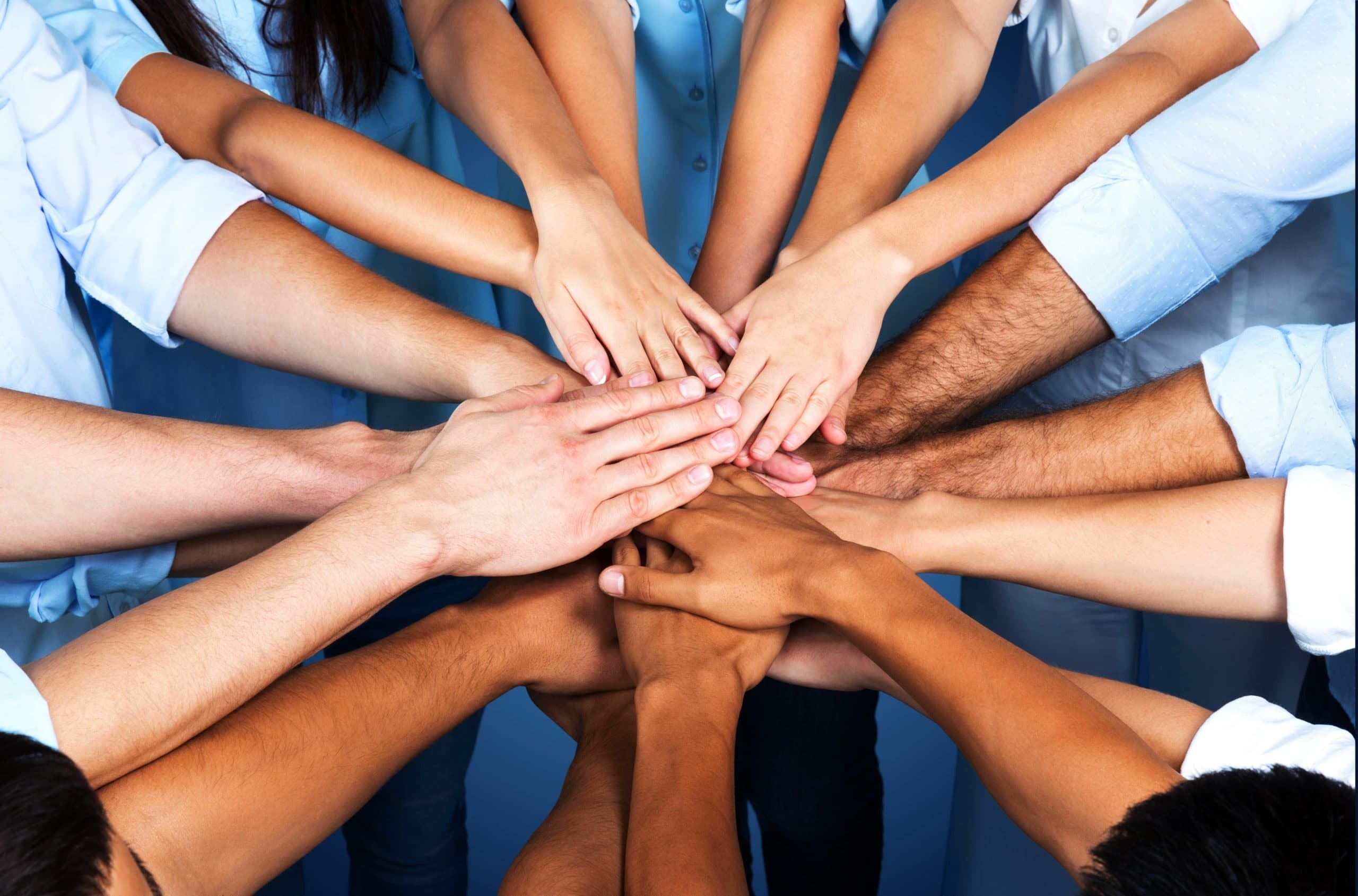 OpenProject rated top Project Management Software OpenProject rated top Project Management Software