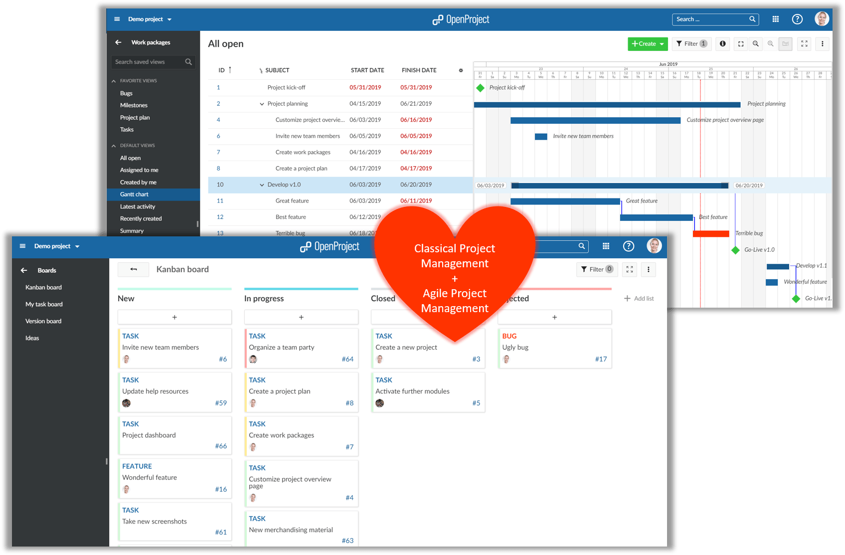 combining classical project management and agile project management
